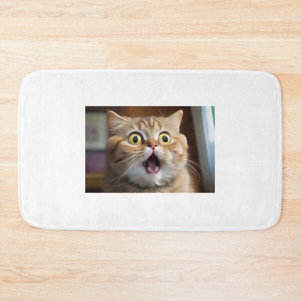 Aperçu de l'œuvre Whiskerwiggle - bébé chat surpris créée et vendue par JCatDesign.
