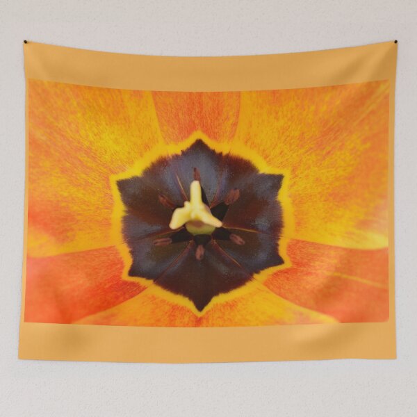 Item preview, Tulipa 'Apeldoorn's Elite' Darwin Hybrid Group Tulip designed and sold by Chris Burrows.