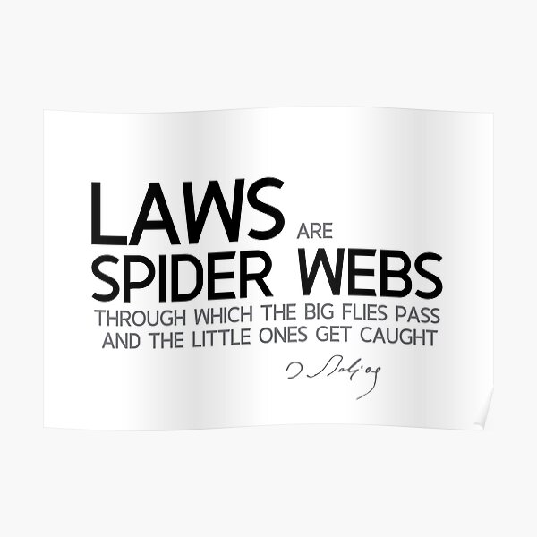 laws are spider webs - balzac Poster