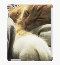 Cat sleeping iPad Case/Skin