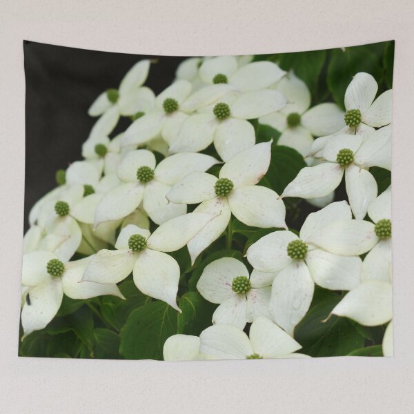 Item preview, Dogwood Blossoms designed and sold by okomedesign.