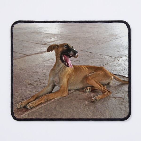 Item preview, Laughing dog designed and sold by BlackoutPhotos.