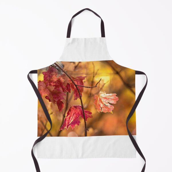 Item preview, Sun Touched Autumn Maples designed and sold by Sue  Cullumber.