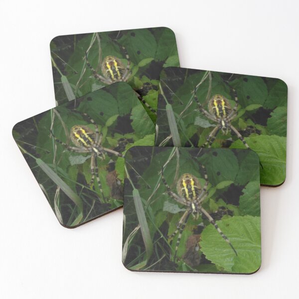 Item preview, Garden spider designed and sold by SamoSanjalica.