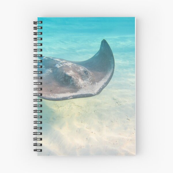 Item preview, A Stingray Swimming designed and sold by Don Arsenault.