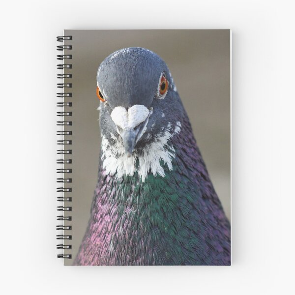 Item preview, Purple and green designed and sold by GreyFeatherPhot.