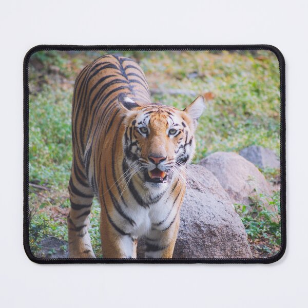 Item preview, Bengal Tiger designed and sold by Neha Gupta.