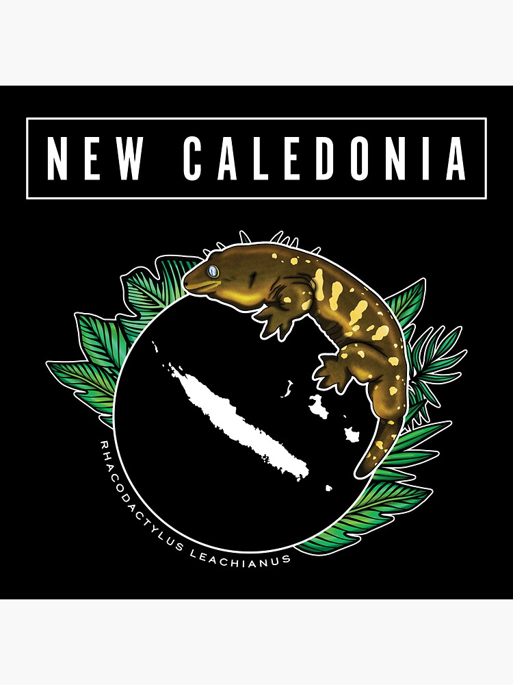Vintage New Caledonia Map New Caledonian T-Shirt Vintage New Caledonia Map New Caledonian T-Shirt