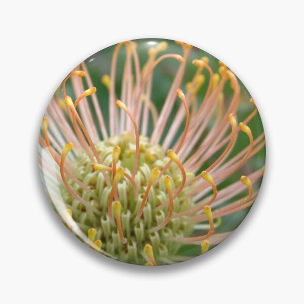 Item preview, Pincushion designed and sold by okomedesign.