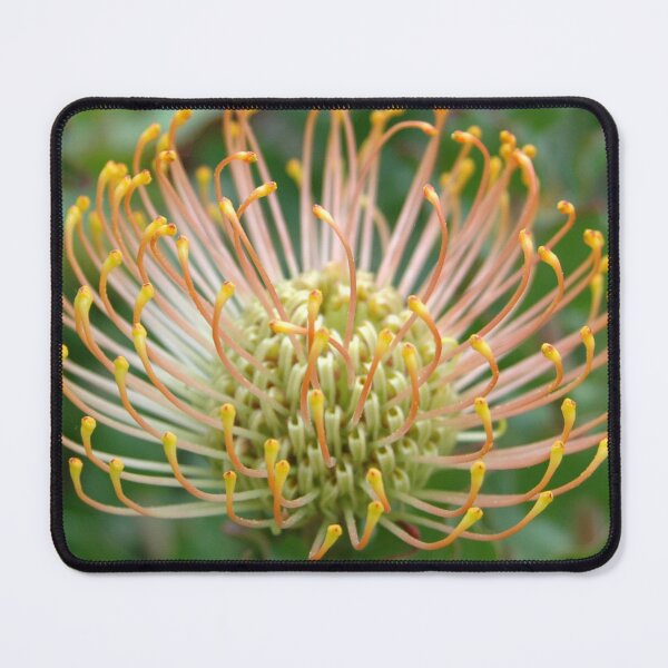 Item preview, Pincushion designed and sold by okomedesign.
