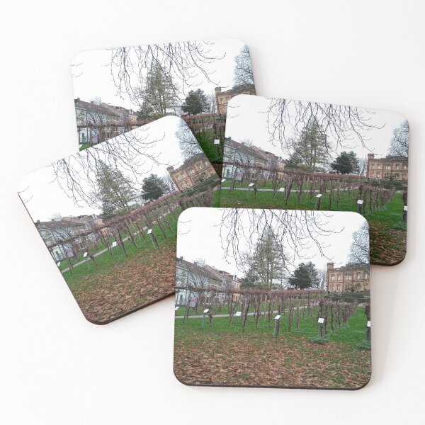 Item preview, Freiburg im Breisgau  designed and sold by Dreammkd.