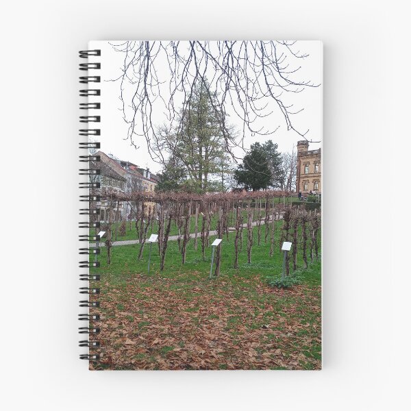 Item preview, Freiburg im Breisgau  designed and sold by Dreammkd.