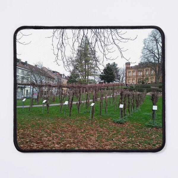 Item preview, Freiburg im Breisgau designed and sold by Dreammkd.