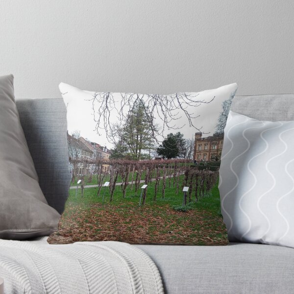 Item preview, Freiburg im Breisgau  designed and sold by Dreammkd.