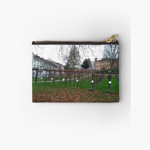 Item preview, Freiburg im Breisgau  designed and sold by Dreammkd.