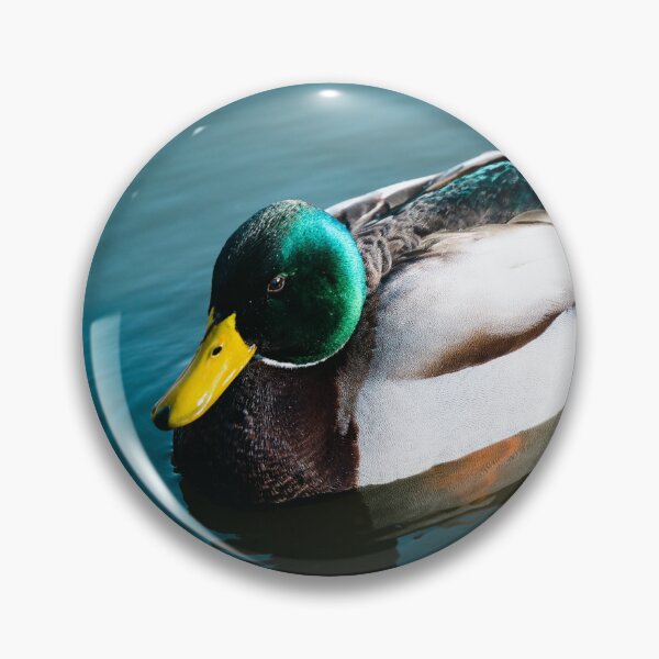 Item preview, Duck Paddling in a River designed and sold by DoingMaths.