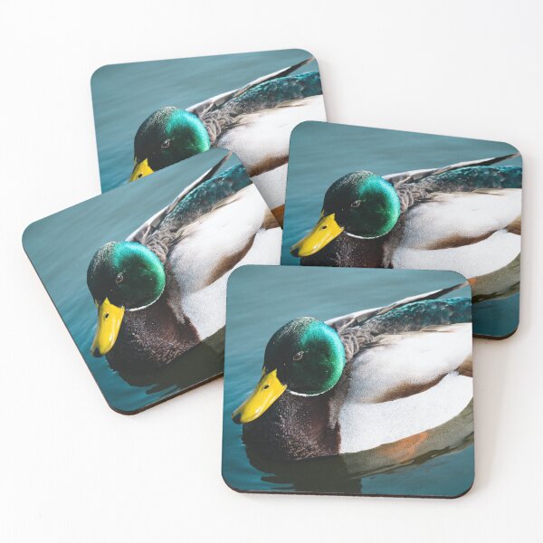Item preview, Duck Paddling in a River designed and sold by DoingMaths.