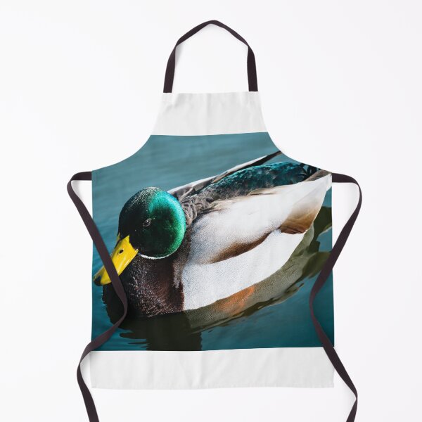Item preview, Duck Paddling in a River designed and sold by DoingMaths.