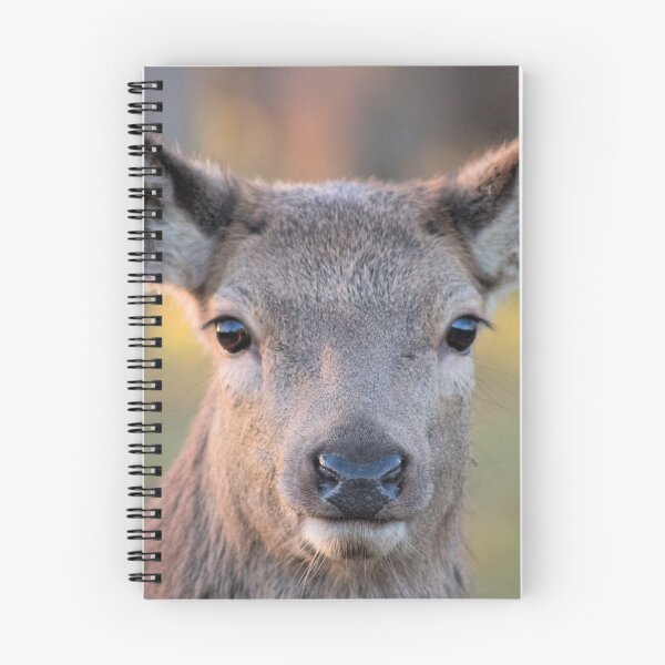 Item preview, RED DEER designed and sold by chriswilson111.