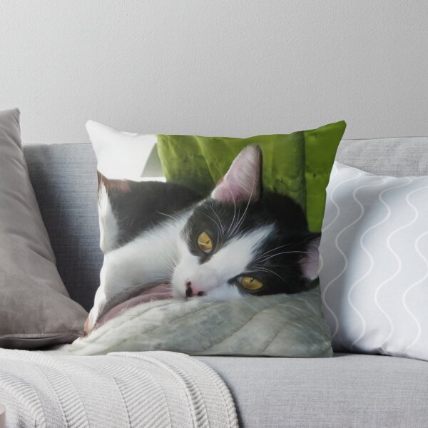 Item preview, Cozy Tuxedo Cat designed and sold by PandLcreations.