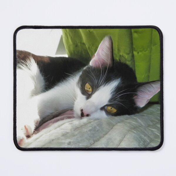 Item preview, Cozy Tuxedo Cat designed and sold by PandLcreations.
