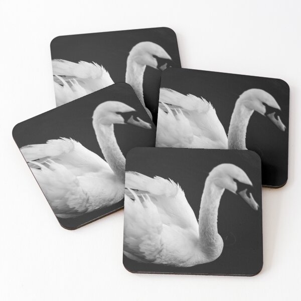 Item preview, Swan Swimming on the River Photograph designed and sold by DoingMaths.