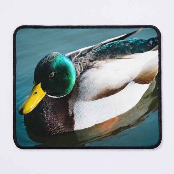 Item preview, Duck Paddling in a River designed and sold by DoingMaths.