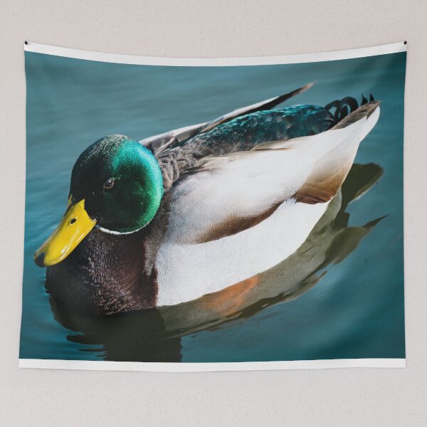 Item preview, Duck Paddling in a River designed and sold by DoingMaths.
