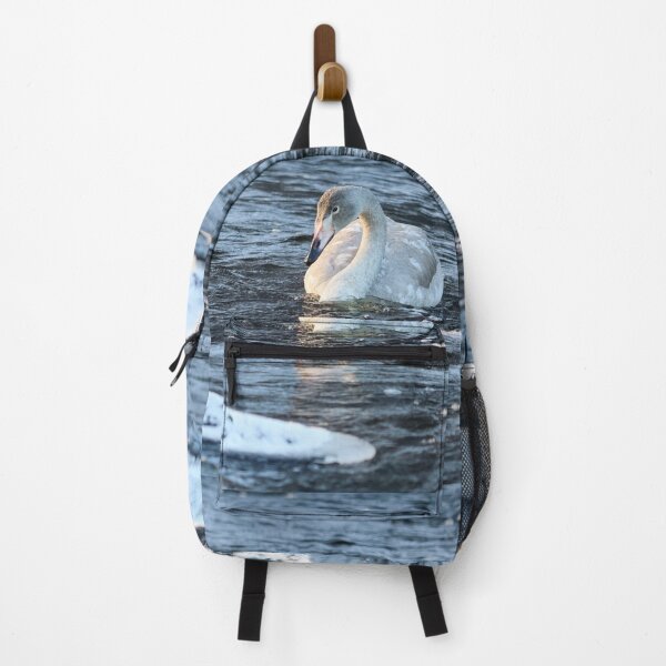 Item preview, Freshing waters. Whooper swan designed and sold by Jouko Lehto Photography.