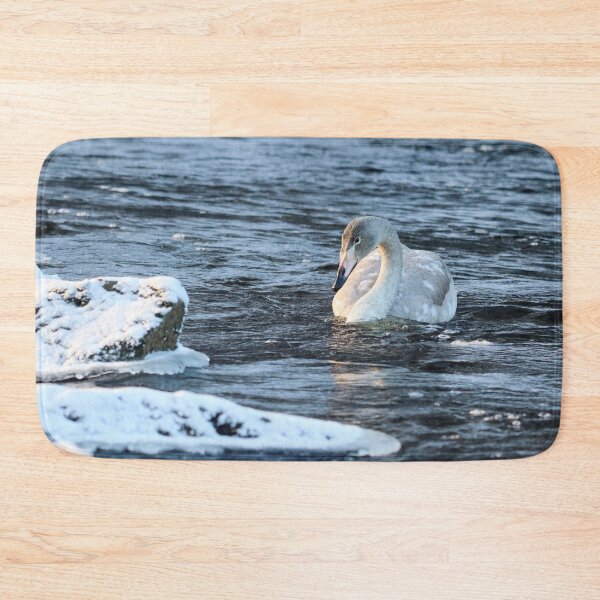 Item preview, Freshing waters. Whooper swan designed and sold by Jouko Lehto Photography.