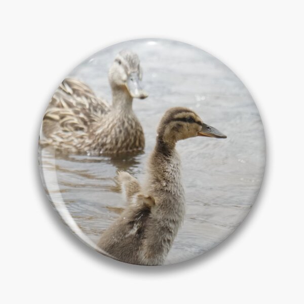 Item preview, Ducklings designed and sold by BlackoutPhotos.