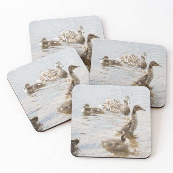 Item preview, Ducklings designed and sold by BlackoutPhotos.