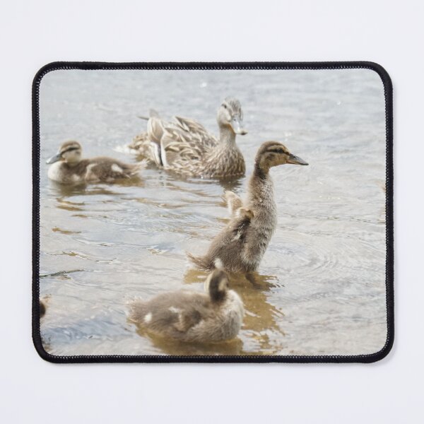 Item preview, Ducklings designed and sold by BlackoutPhotos.