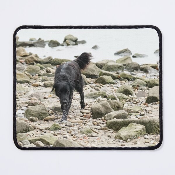 Item preview, Dog on the beach designed and sold by BlackoutPhotos.