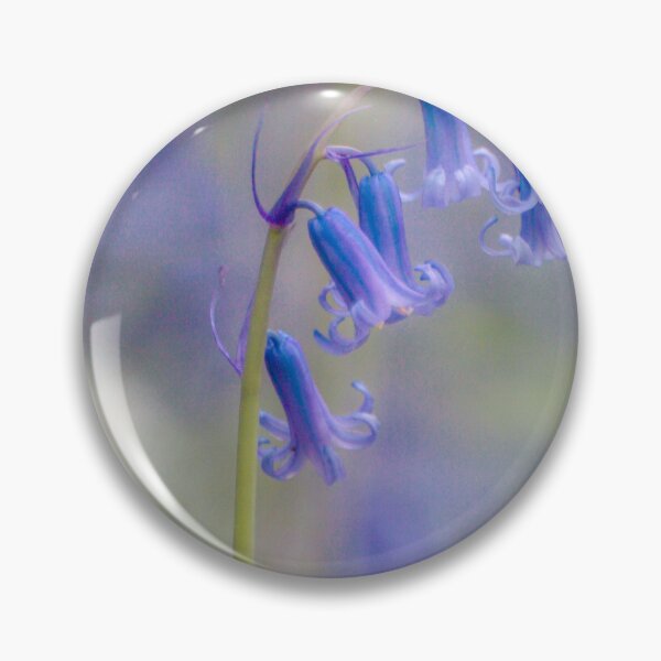 Item preview, Digital photograph of  Bluebell flower designed and sold by SimonJohnson1.