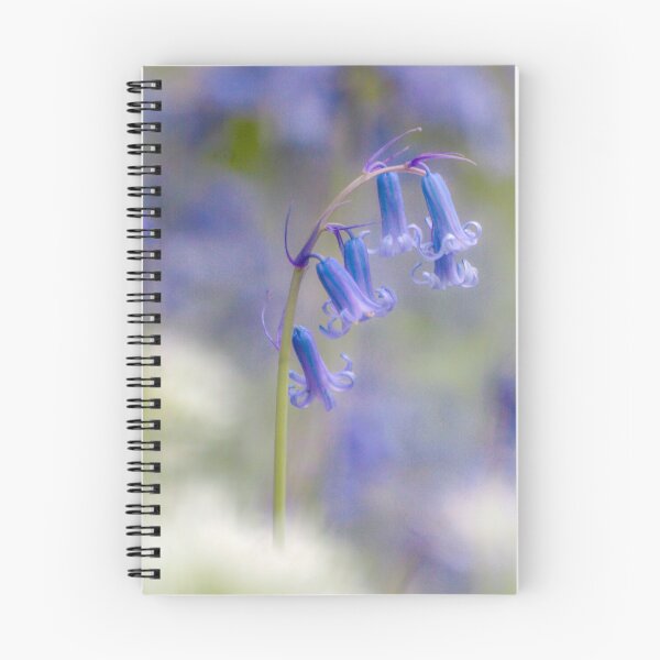 Item preview, Digital photograph of  Bluebell flower designed and sold by SimonJohnson1.