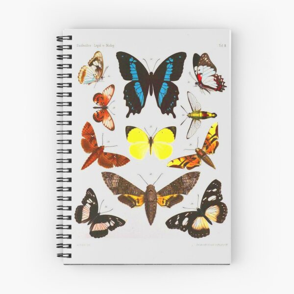 Item preview, Vintage Butterfly Illustration of Blue, Orange, Black, and Yellow butterflies designed and sold by EelandOctopus.