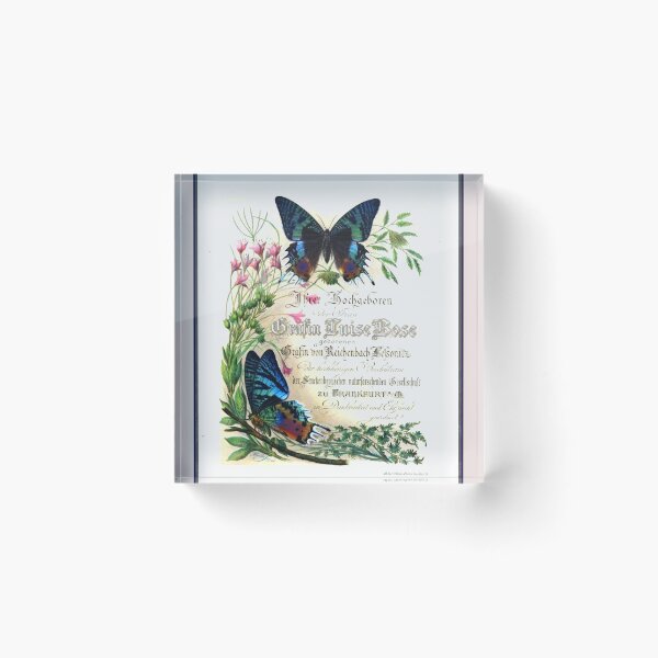 Item preview, Vintage Butterfly Book Cover of butterflies of the Madagascar designed and sold by EelandOctopus.