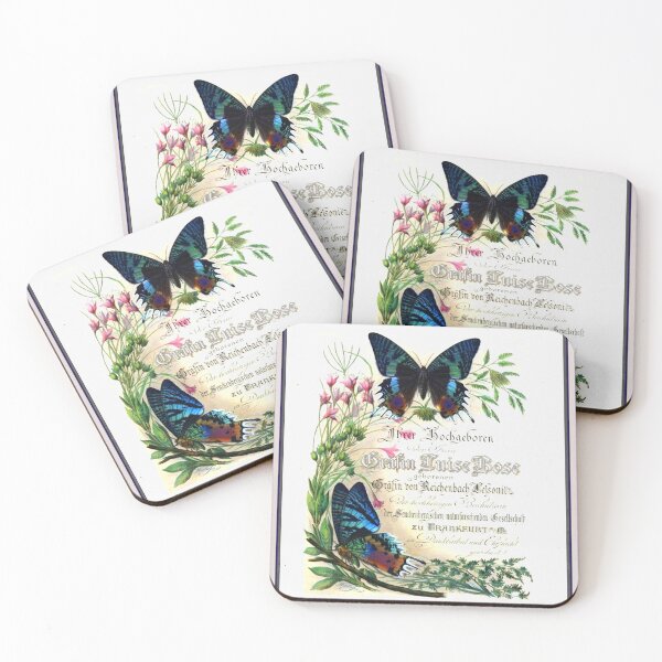 Item preview, Vintage Butterfly Book Cover of butterflies of the Madagascar designed and sold by EelandOctopus.