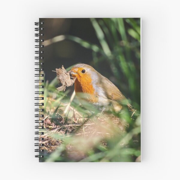 Item preview, Nesting Robin designed and sold by GreyFeatherPhot.