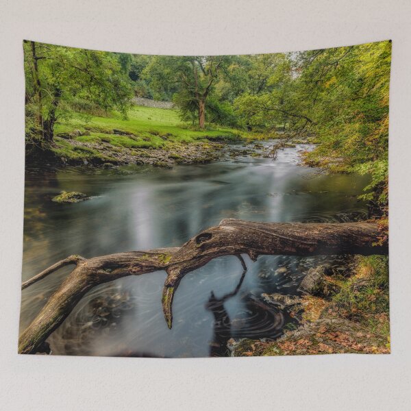 Item preview, Fallen Tree River Conwy Betws-y-Coed designed and sold by AJEvans.