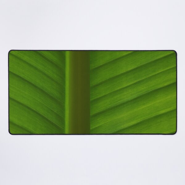 Item preview, Palm leaf designed and sold by BlackoutPhotos.