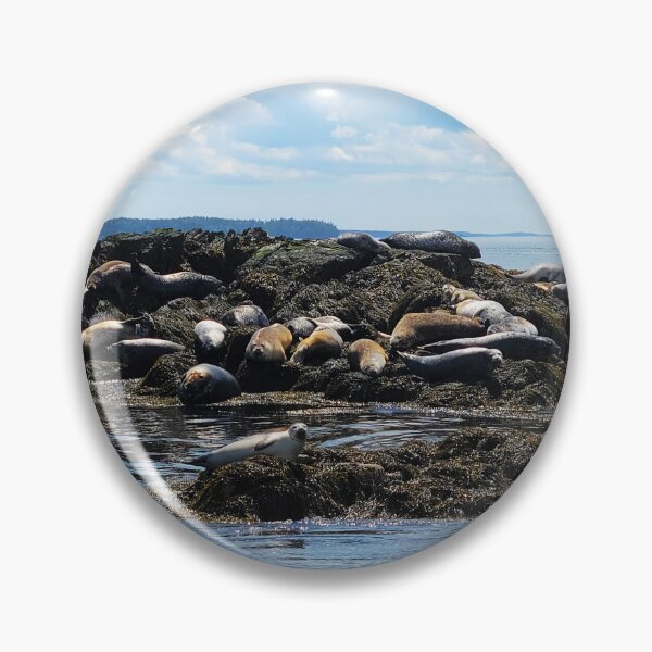 Item preview, Lounging Seals designed and sold by Alexandra Sutherland.