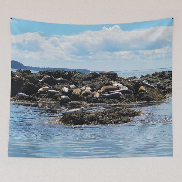 Item preview, Lounging Seals designed and sold by Alexandra Sutherland.