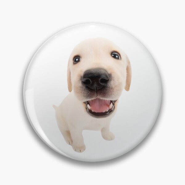 Item preview, Nintendog Labrador  designed and sold by pinkjellydragon.