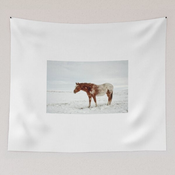 Item preview, Appaloosa horse on Canadian Prairies in Winter designed and sold by colorfulbundles.