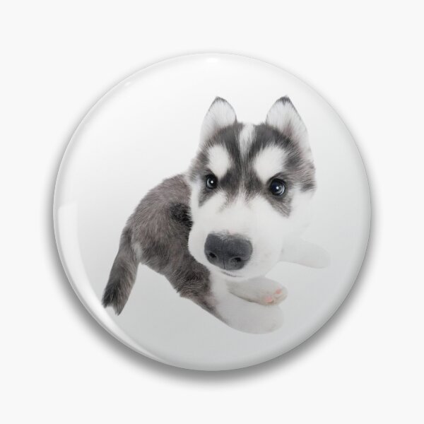 Item preview, Nintendog Alaskan Huskey Puppy designed and sold by pinkjellydragon.