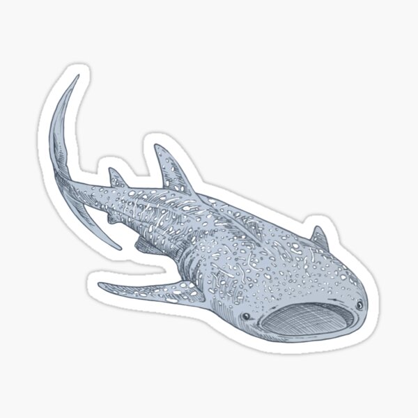 Item preview, Whale Shark designed and sold by caroline-arts5.