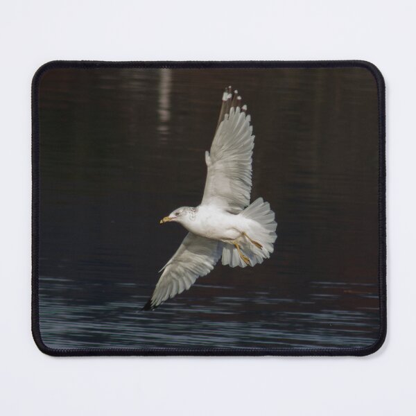Item preview, In Flight designed and sold by Tim Dusenberry.