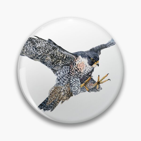 Item preview, Peregrine Falcon in Flight designed and sold by Black-Vulture.